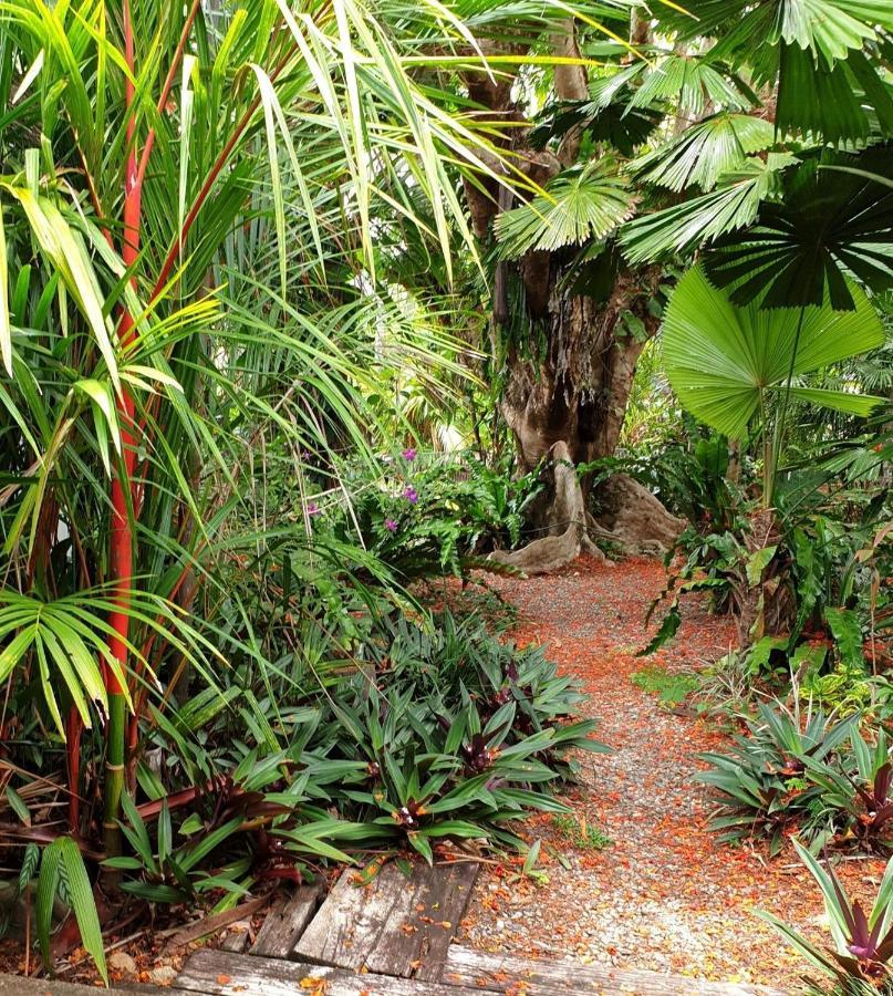 Rainforest Castaways Resort And Spa Mission Beach Esterno foto