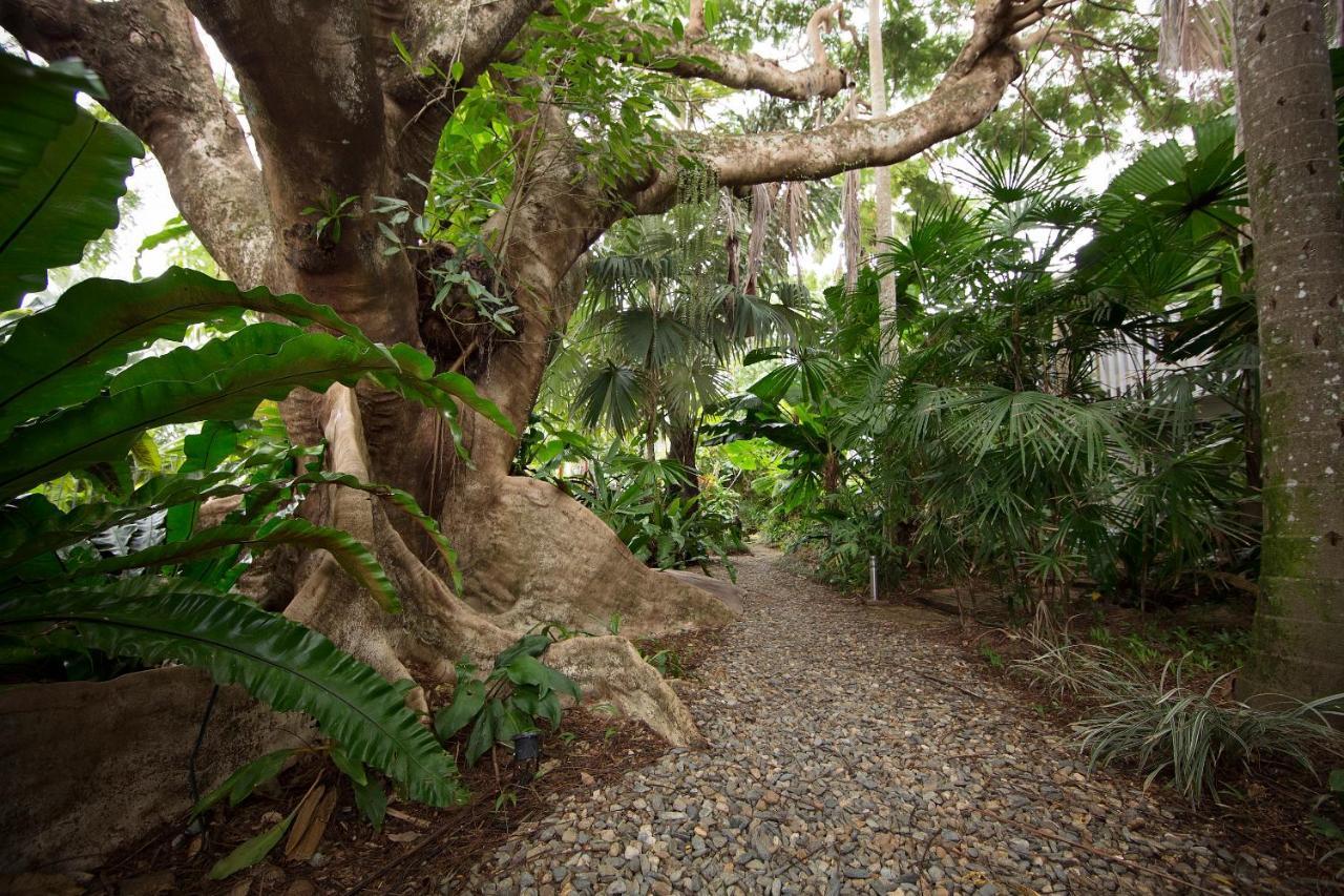 Rainforest Castaways Resort And Spa Mission Beach Esterno foto